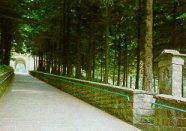 viale