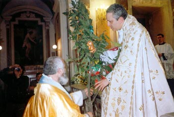 Offerta del Majo